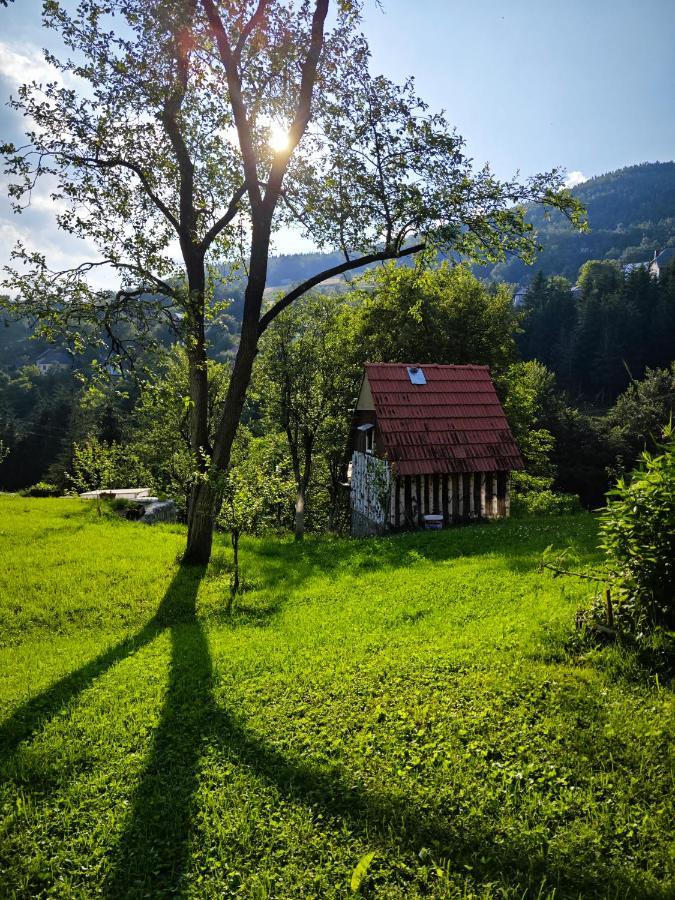 Mini Garden Pensionat Mojkovac Exteriör bild